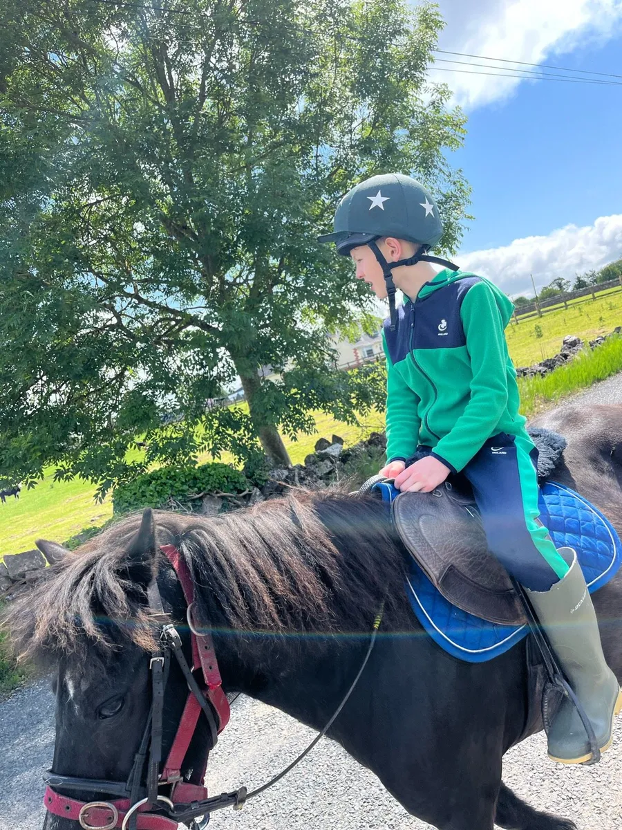 ✨Ollie✨ - Image 4