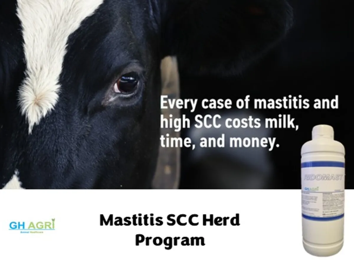 €14 per cow Mastitis Scc Program (No Withdrawals) - Image 2