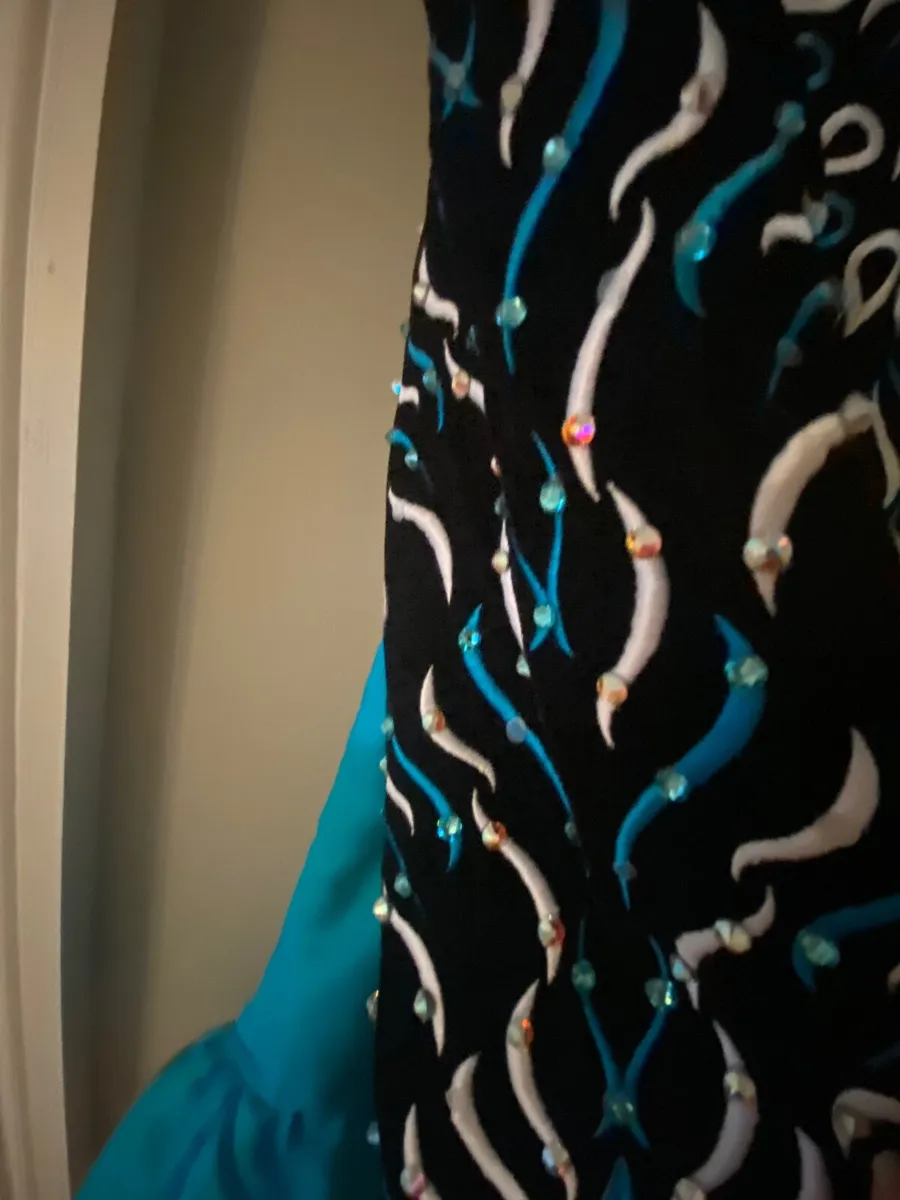 Irish dance dress - Image 1