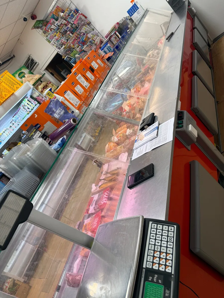 Commercial Large Capacity Freezer - Image 1