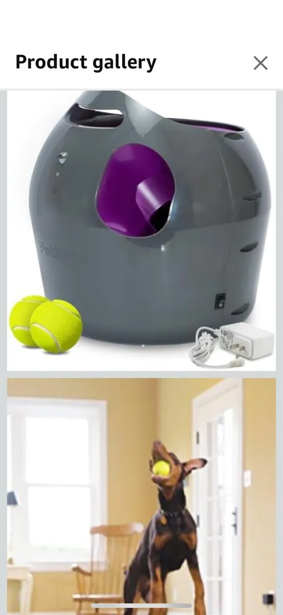 Play safe Ball Thrower Dog - Image 1