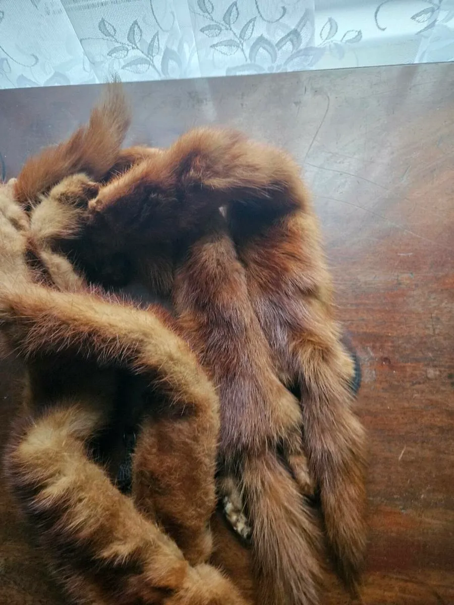 Vintage Stoat Collar Scarf - Image 4