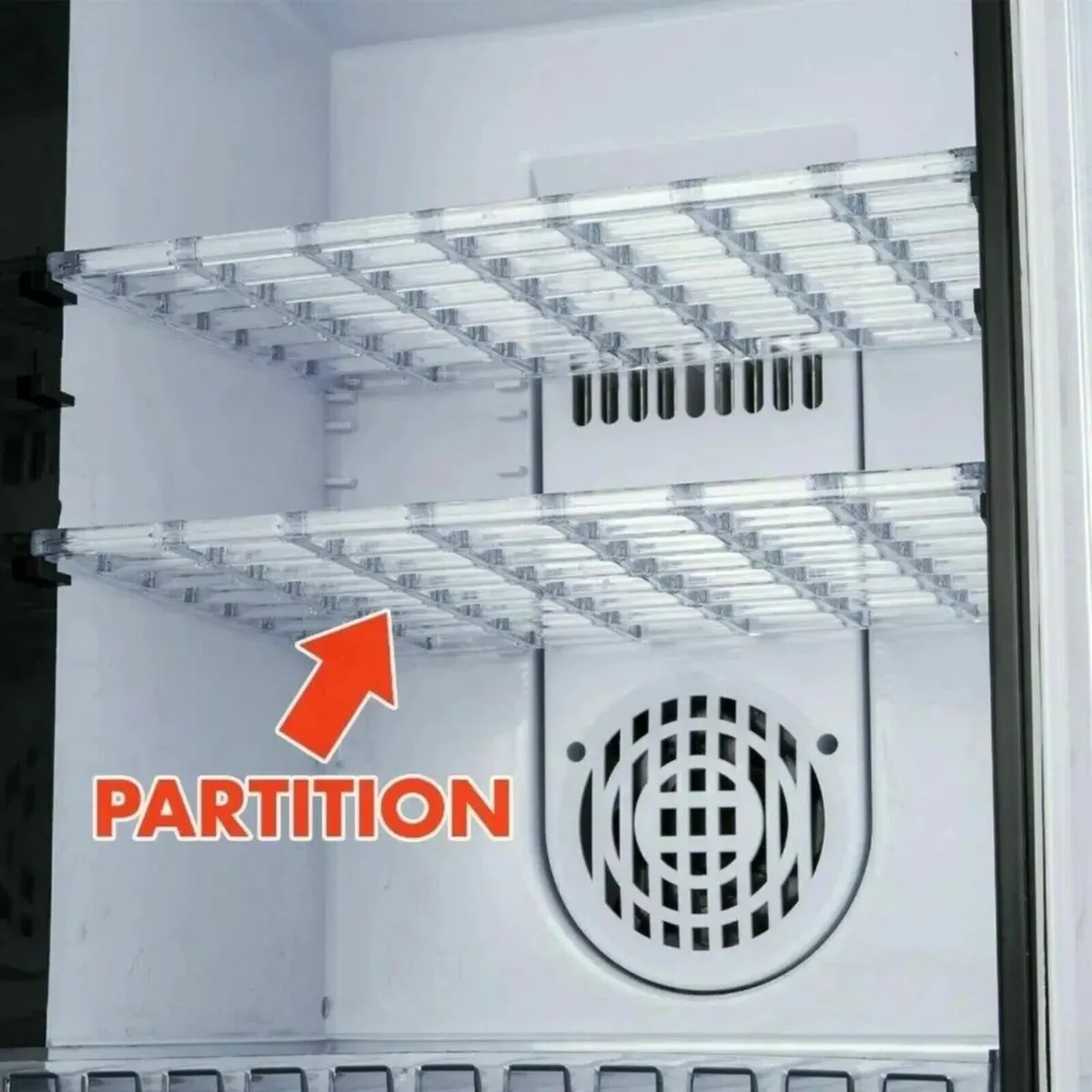 Reptile Egg Incubator with Digital Temp Control - Image 3
