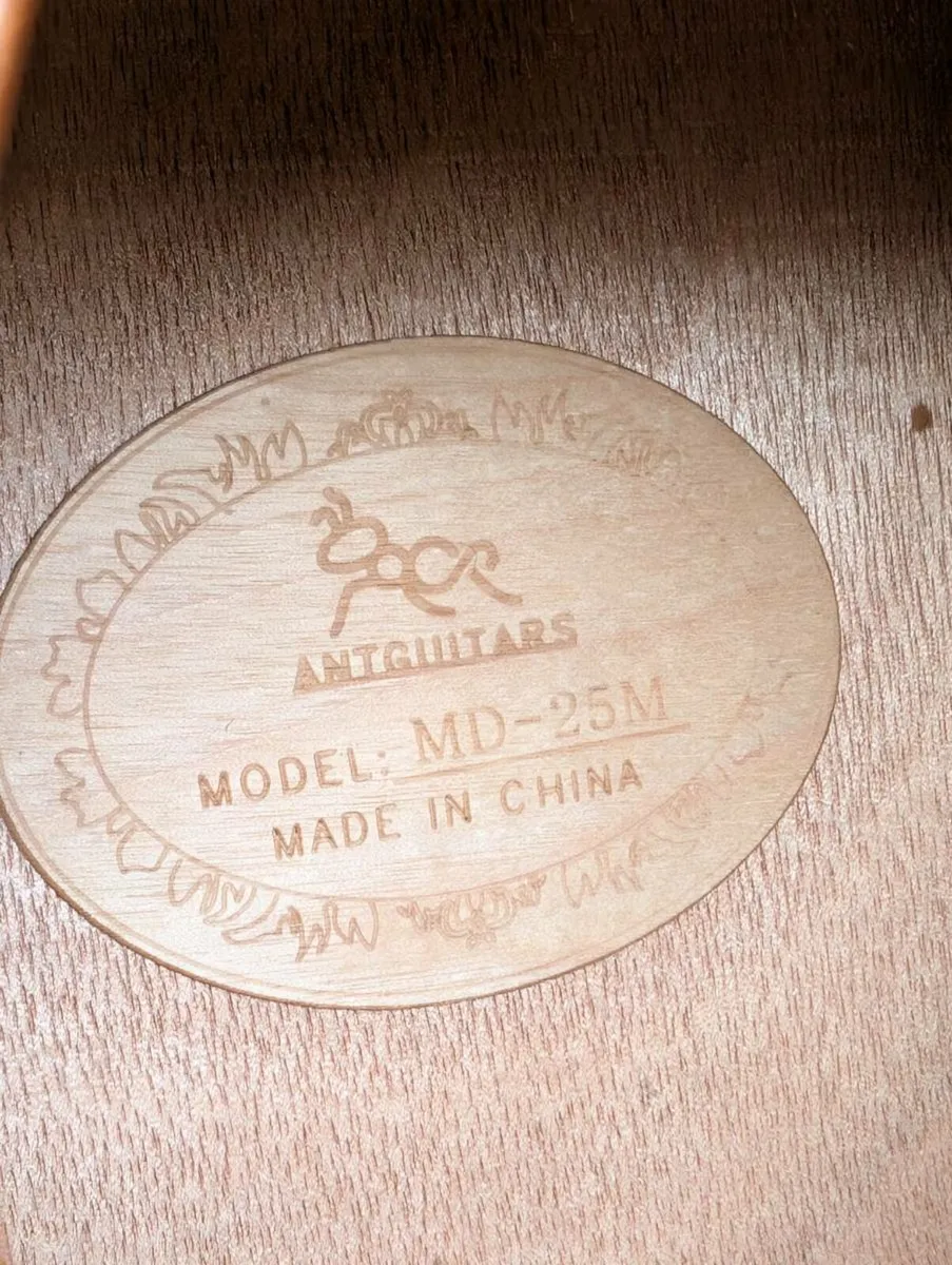 AntGuitars MD-25M Acoustic Guitar - Image 4