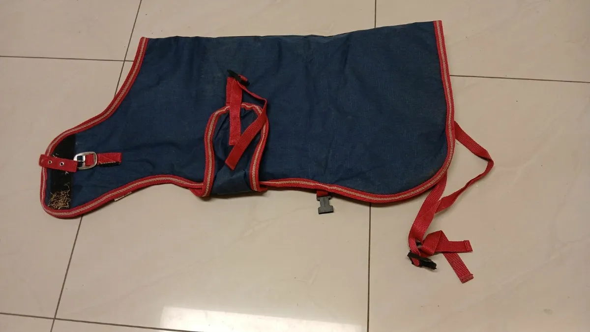 Calf Jackets/Coats - Image 1