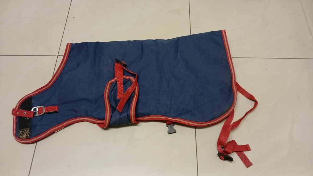 Calf Jackets/Coats - Image 4