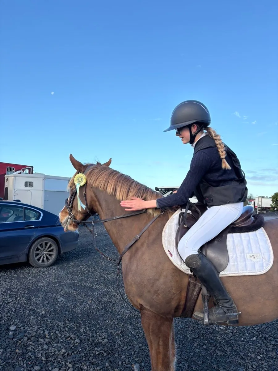 Top Clads SJ / Event / allrounder Pony⭐️⭐️ - Image 1