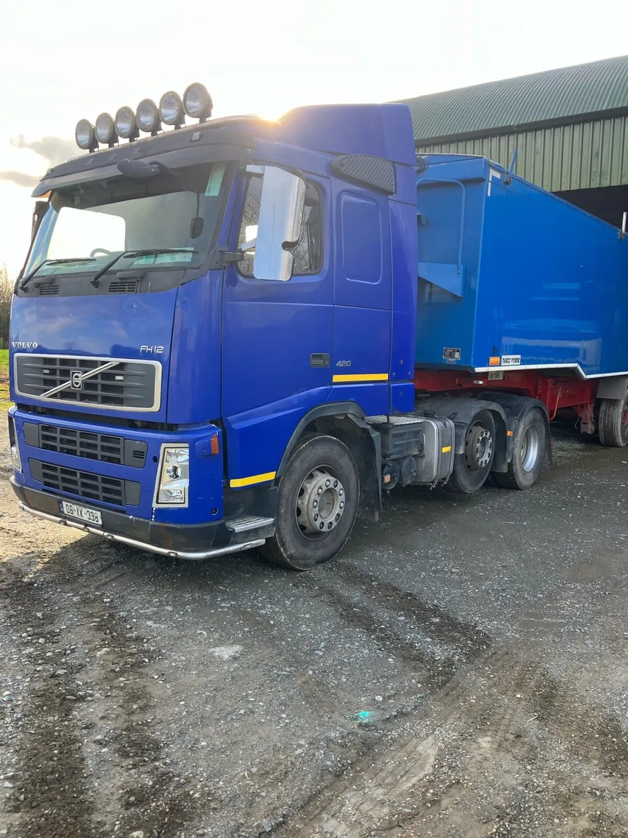 Fodder Beet - Image 3