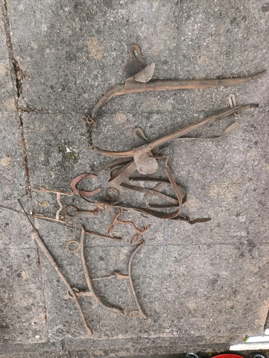 Vintage Horse Paraphernalia - Image 2