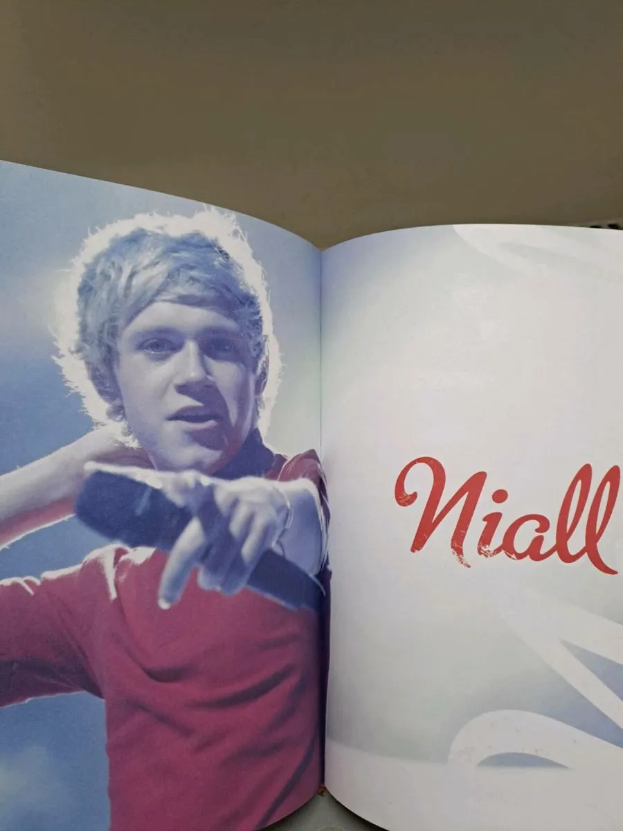 100% official 1D - Image 4