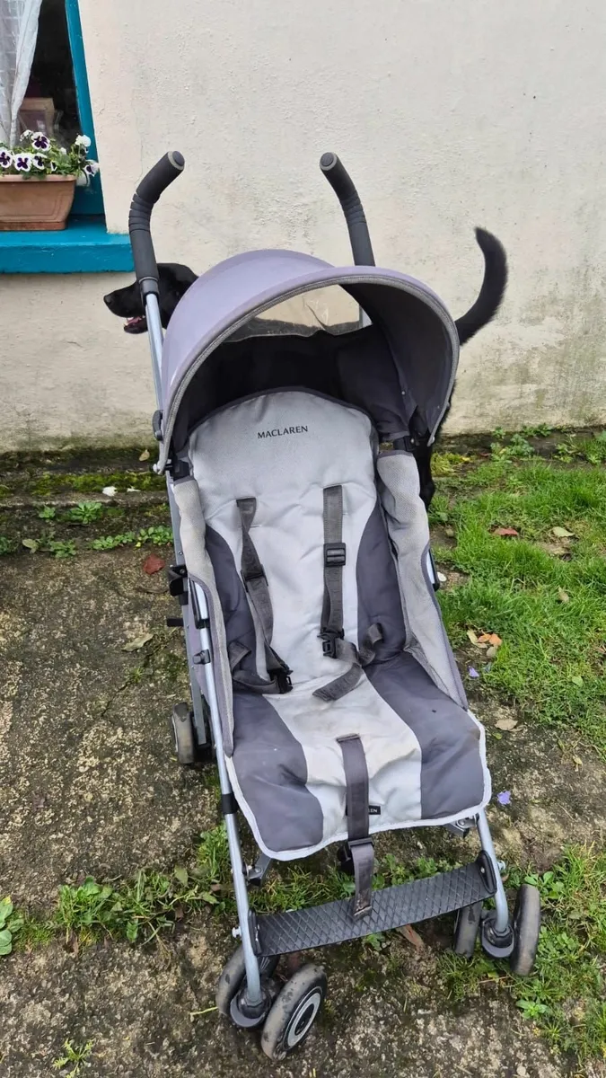 Pushchair - Image 1