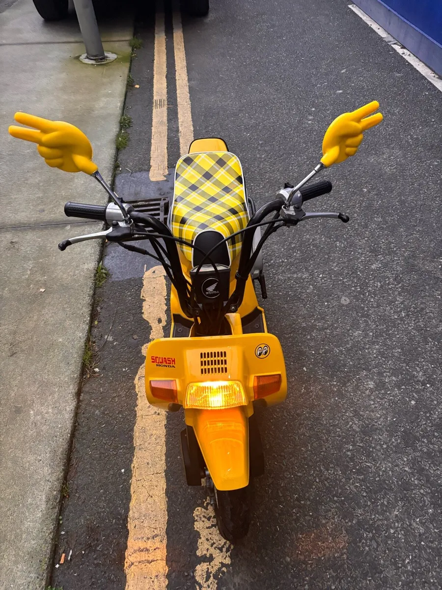 1980 Rare Honda Squash Mint - Image 3