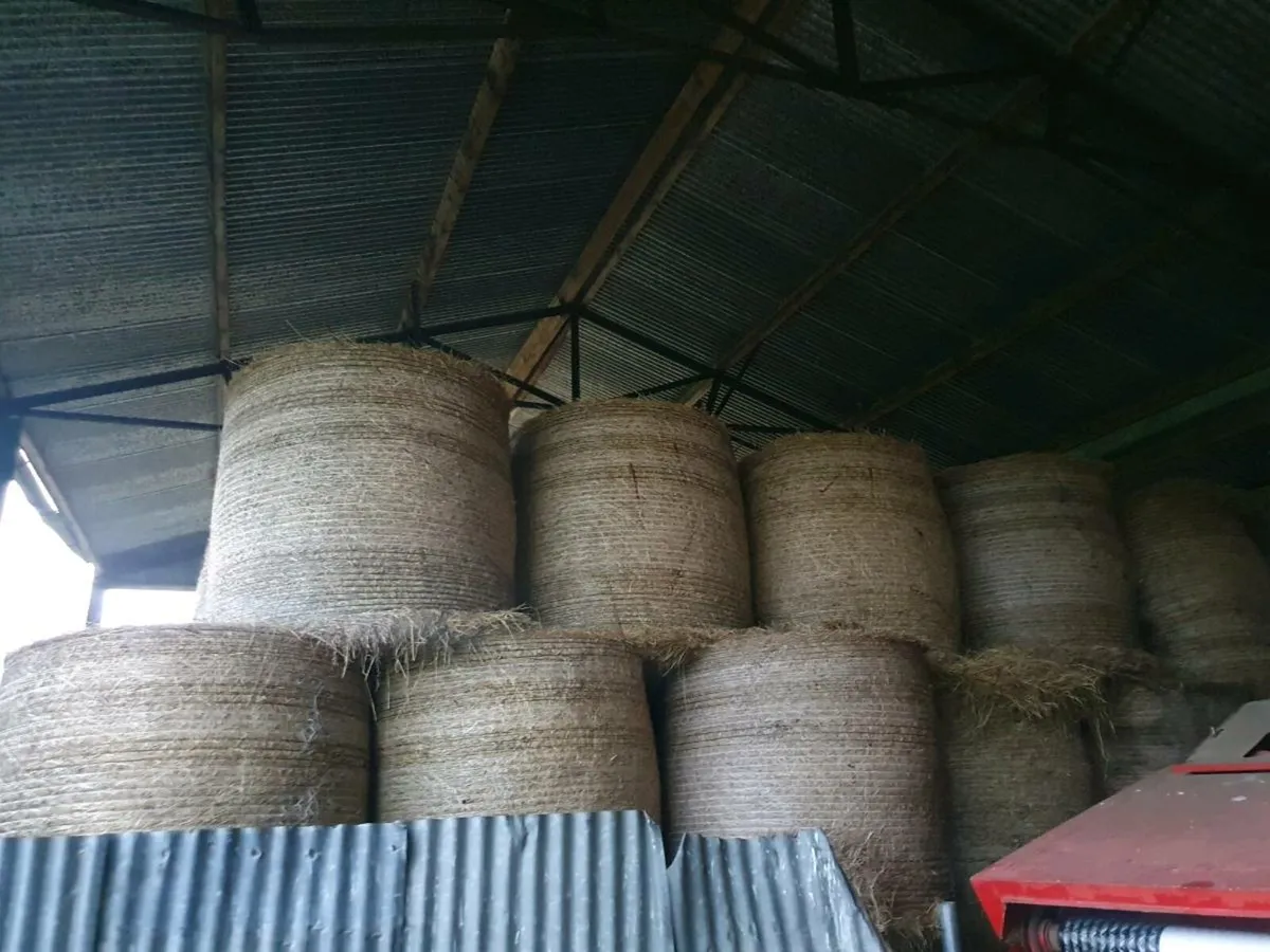 Hay for sale - Image 1
