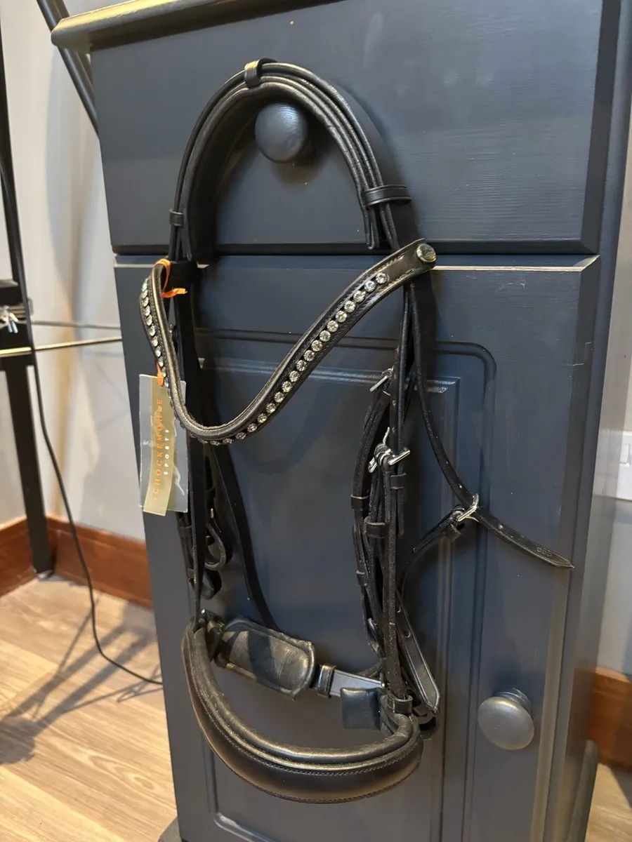 Dressage Bridle - Image 1