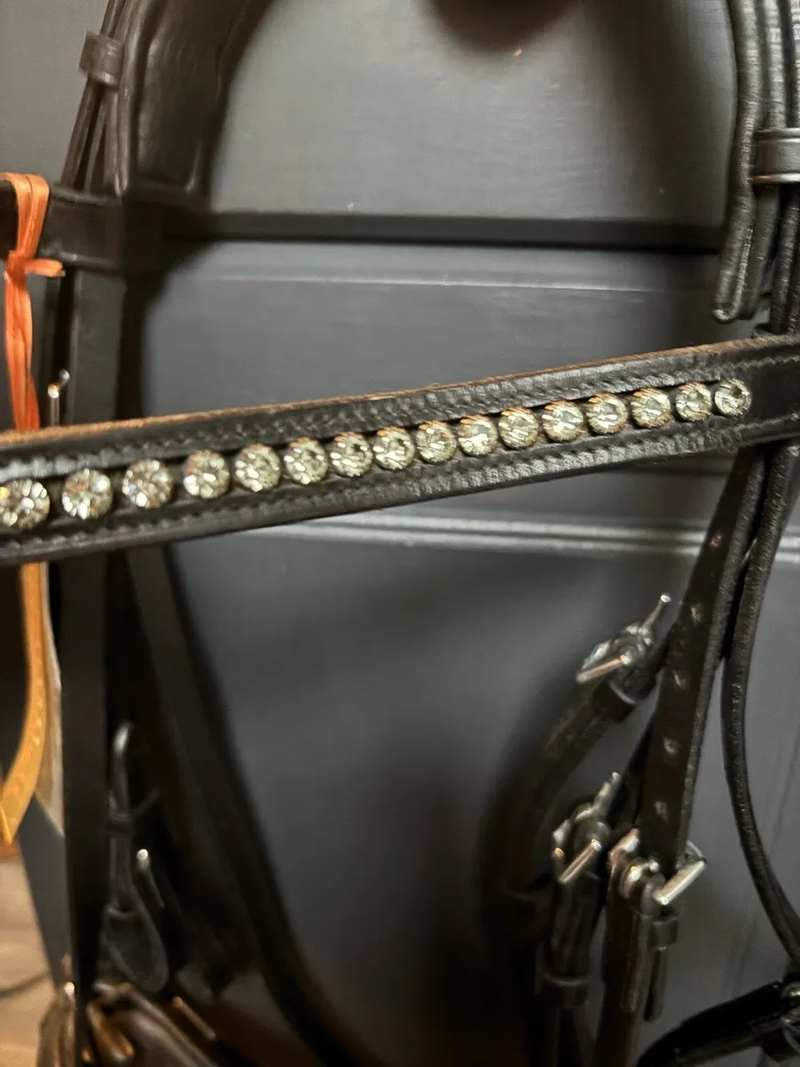 Dressage Bridle - Image 2