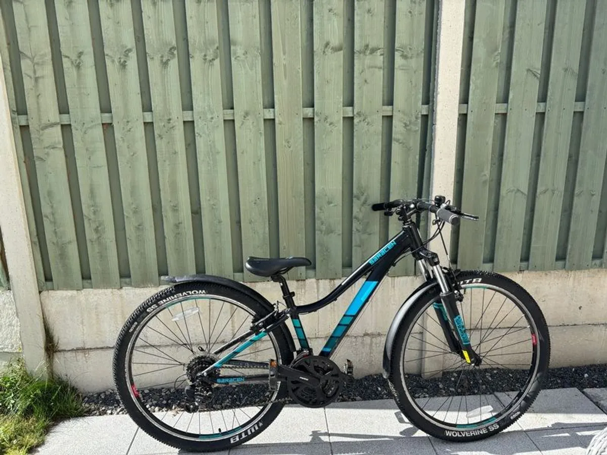 mountain bike - Image 1