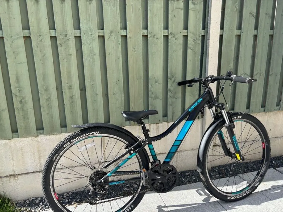 mountain bike - Image 2