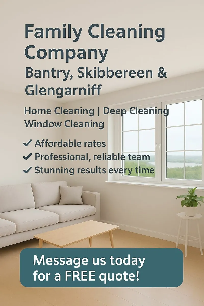Cleaning services - Image 1