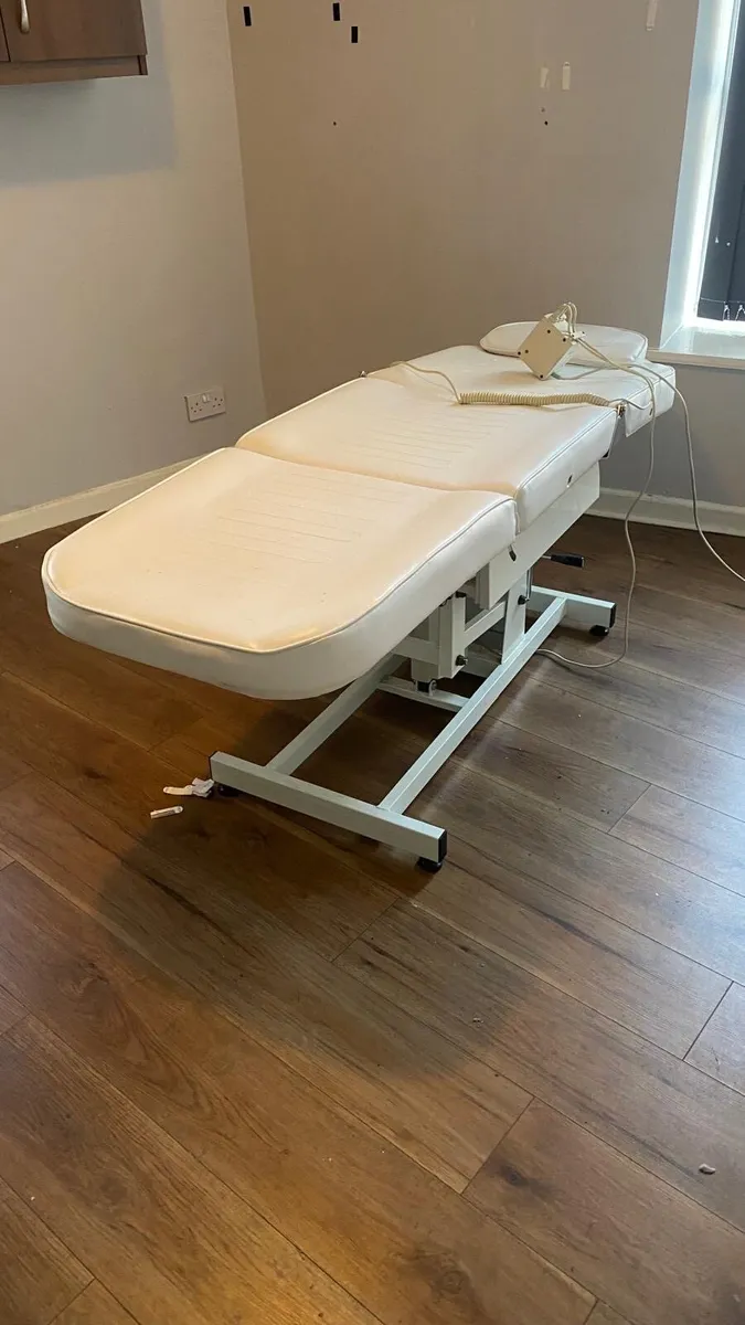 Beauty electric couch