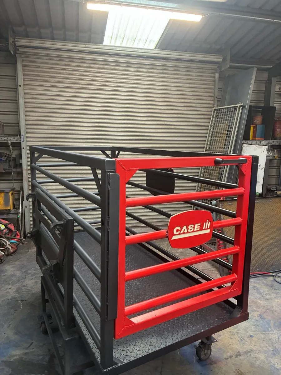 Case international  safety cage - Image 3