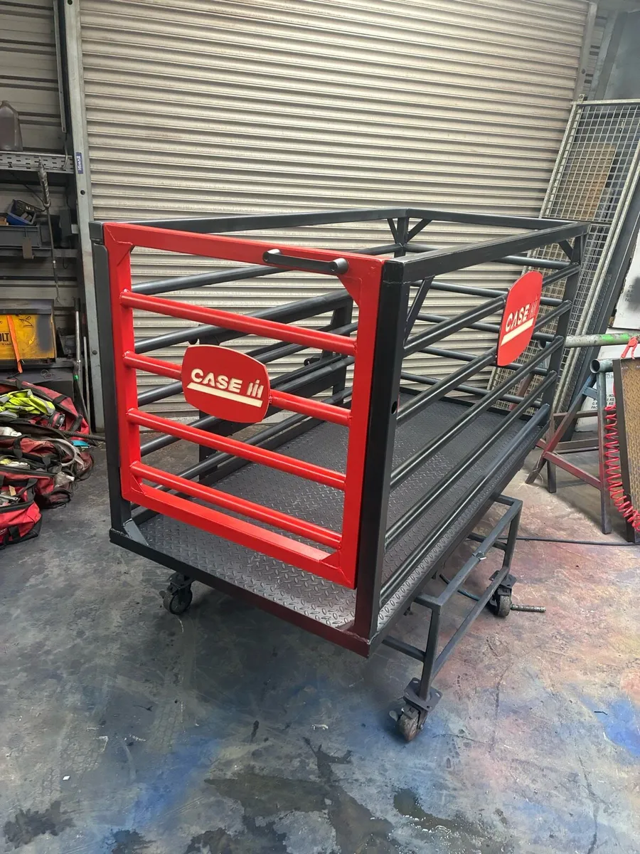 Case international  safety cage - Image 4