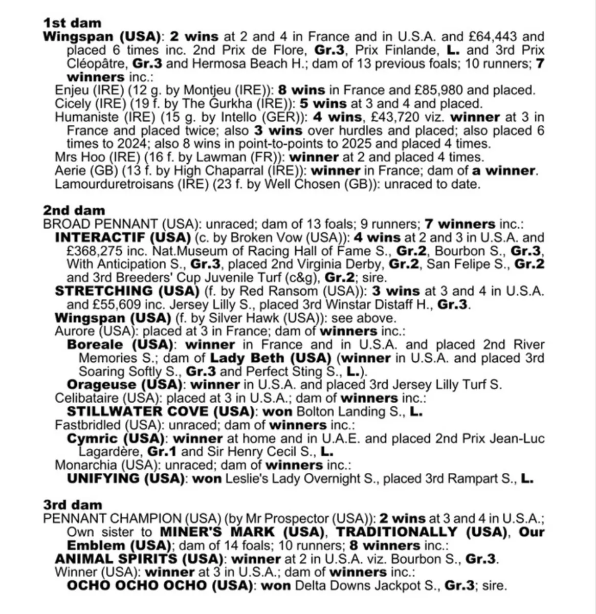 TB Colt by Rich History - Image 3