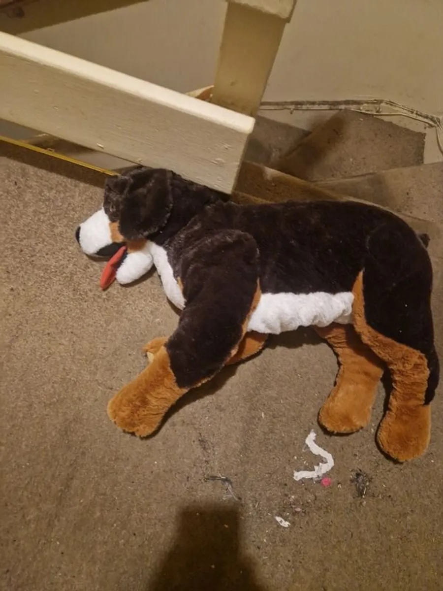 Large plush toys for sale - Image 3