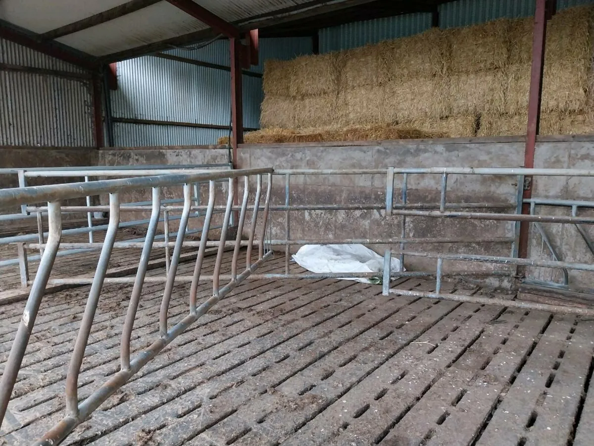 5 18ft Telescopic Dividing Gates - Image 3