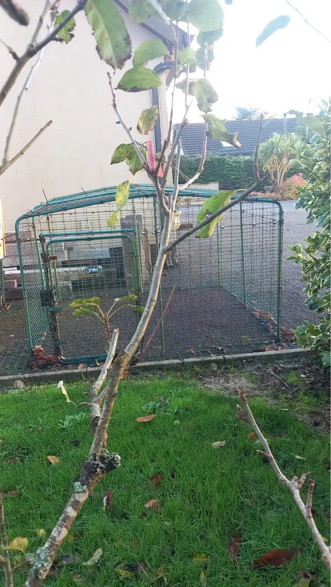 Omlet Outdoor Pet Run - Image 2