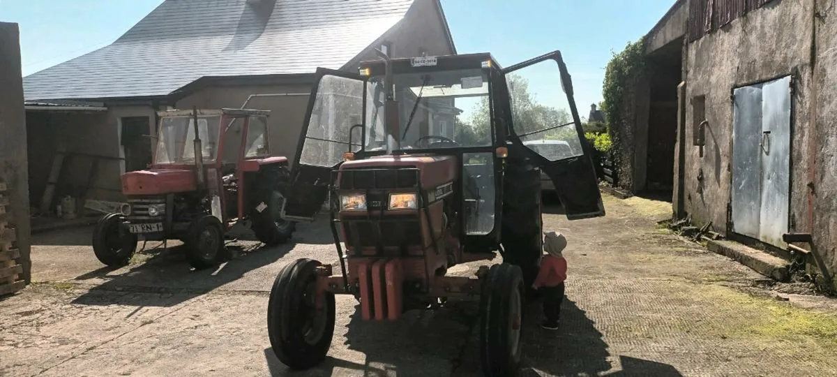 Case international - Image 1