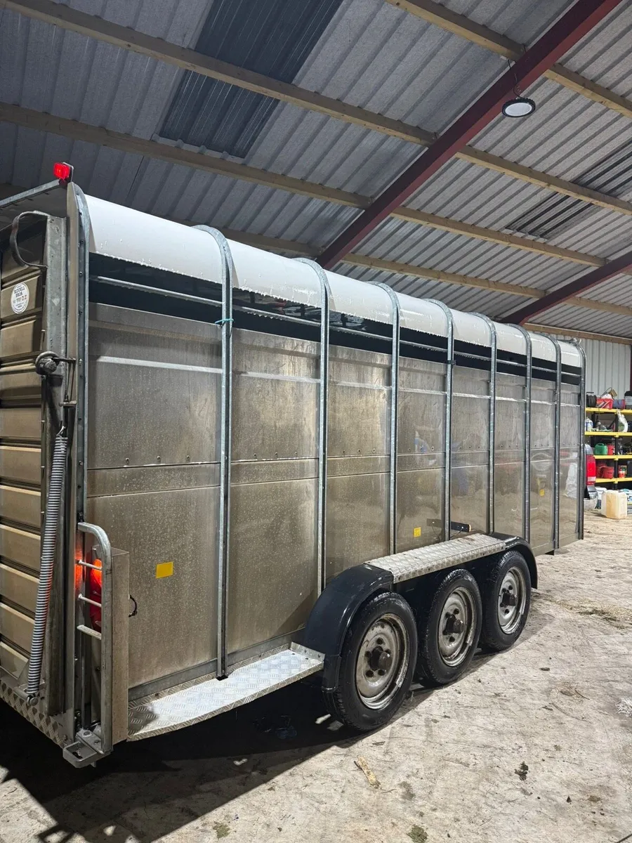 16ft hudson cattle trailer - Image 2