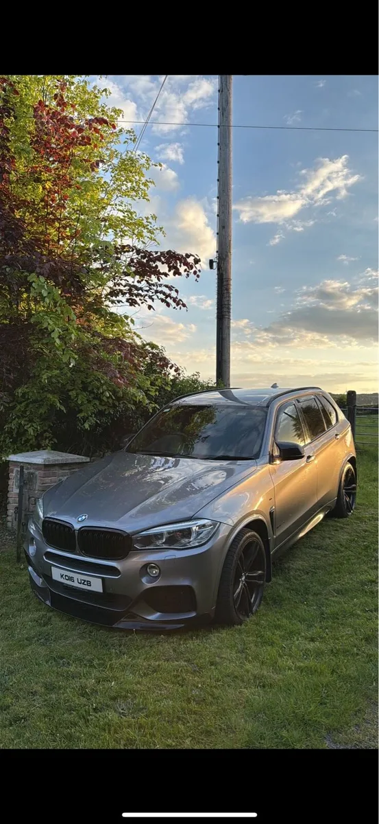BMW X5 3.0D - Image 1