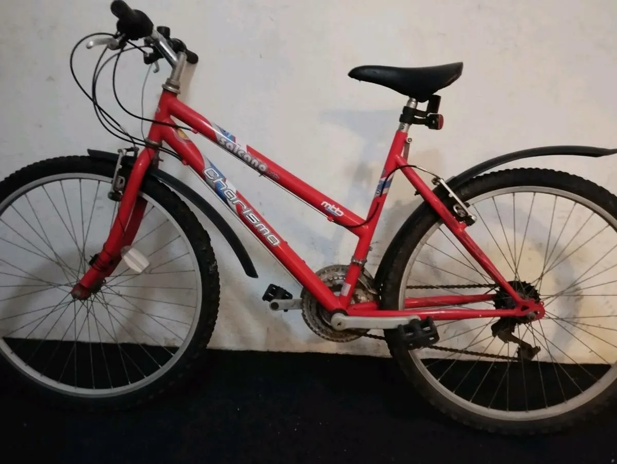 Ladies 26inch bike - Image 2