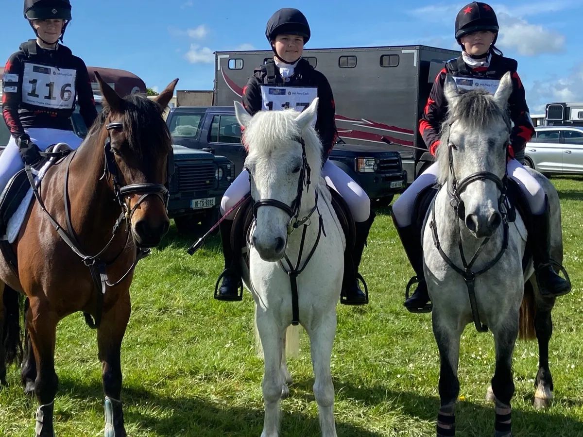 138 (13,2) Connie Cross Mare - Image 2