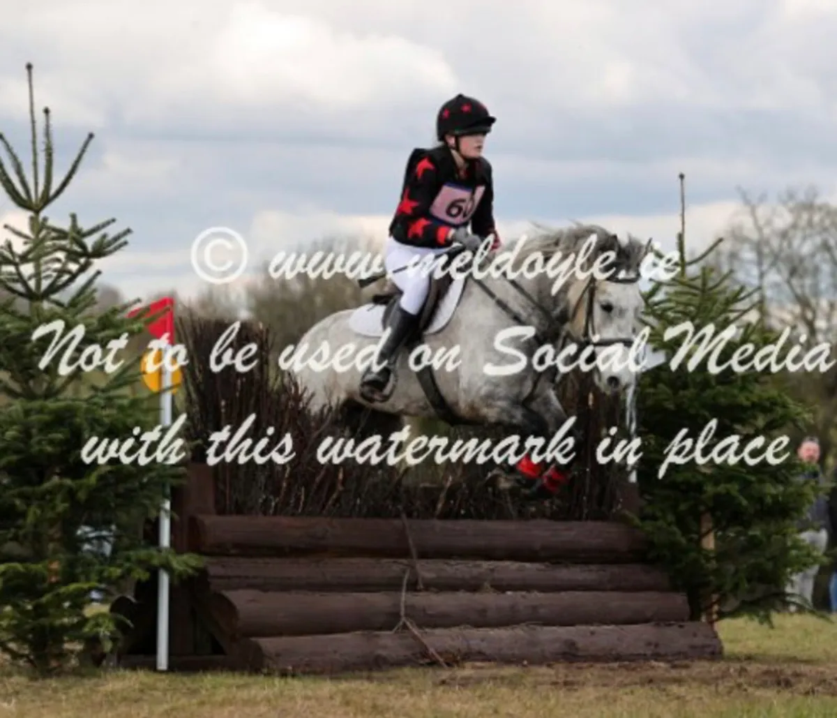 138 (13,2) Connie Cross Mare - Image 4