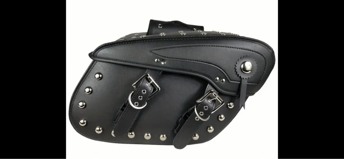 Beautiful Motorcycle Saddle Bags - Image 2