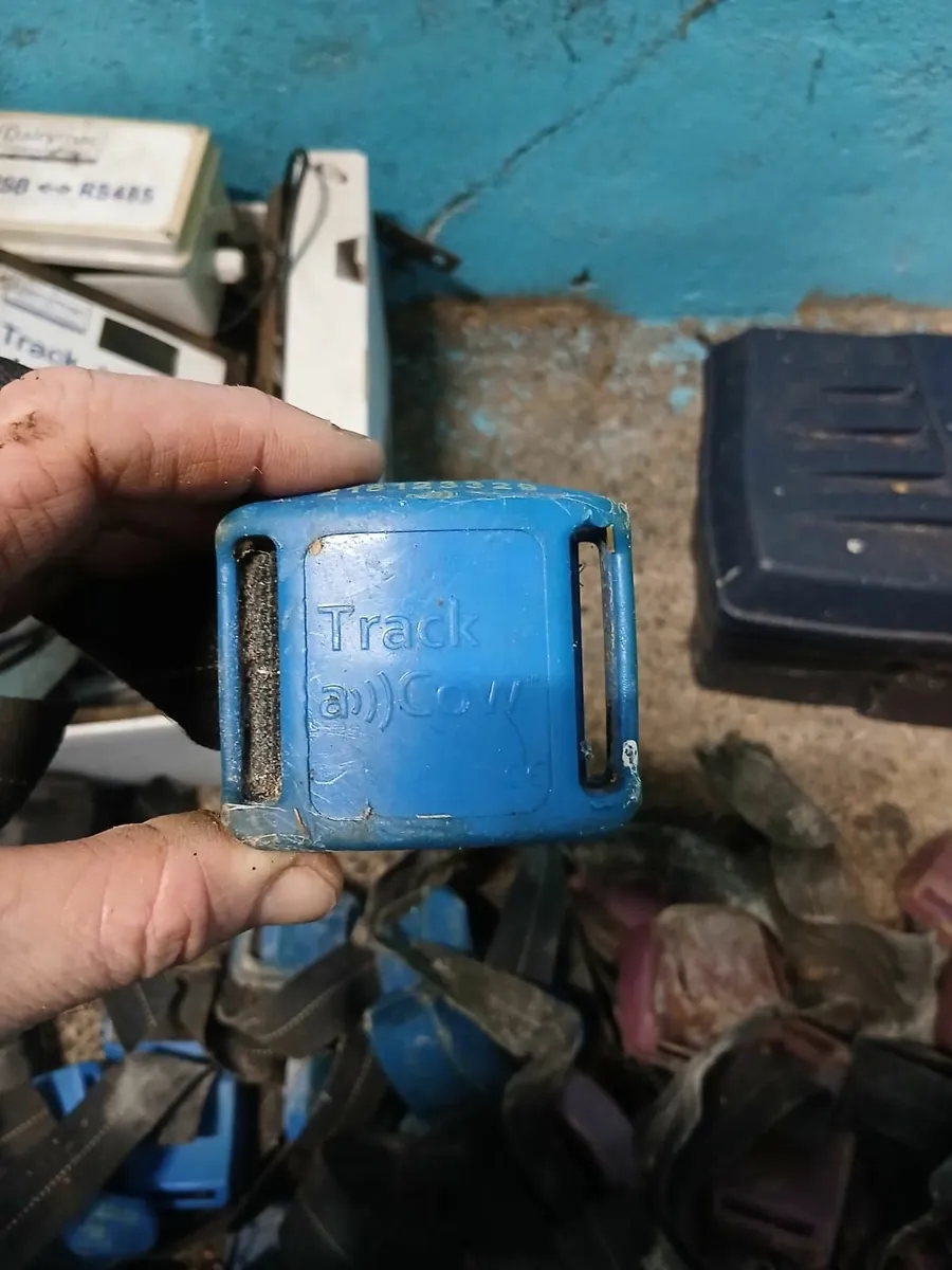 Dairymac Trackacow Heat Detection System - Image 1