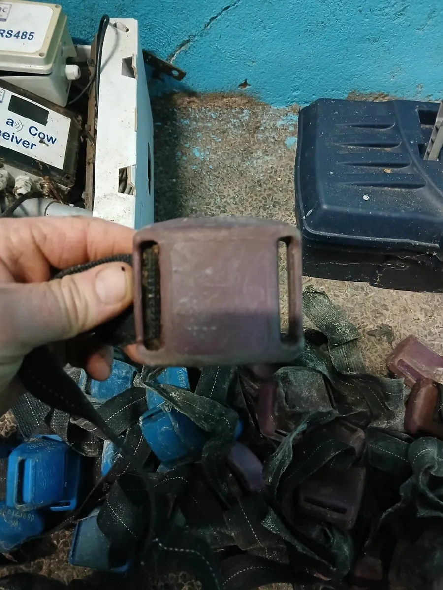 Dairymac Trackacow Heat Detection System - Image 3