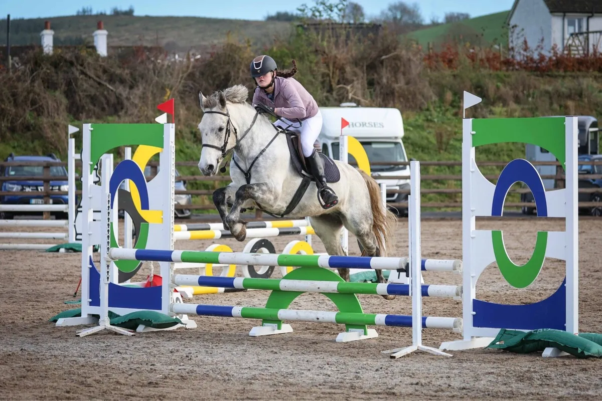 138 (13,2) Connie Cross Mare - Image 1