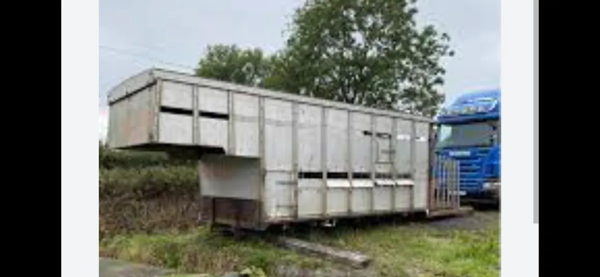 Wanted cattle/horse body - Image 2