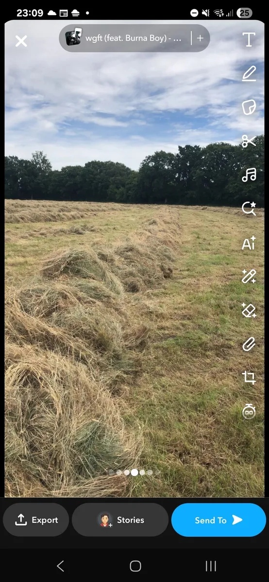 Hay - Image 3