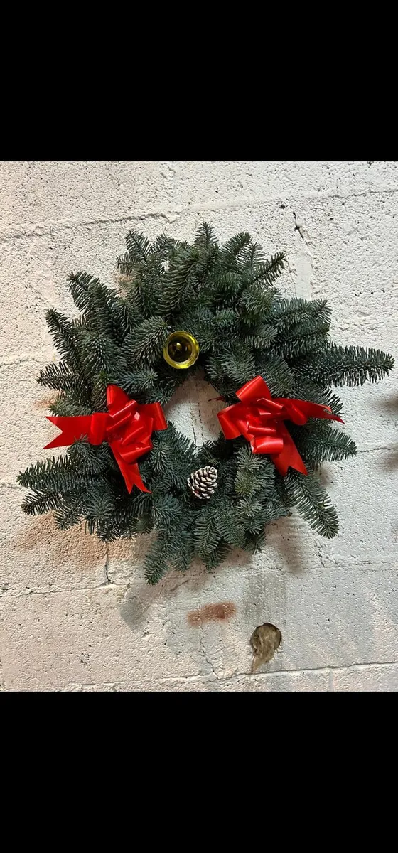 Noble fir Wreaths - Image 2