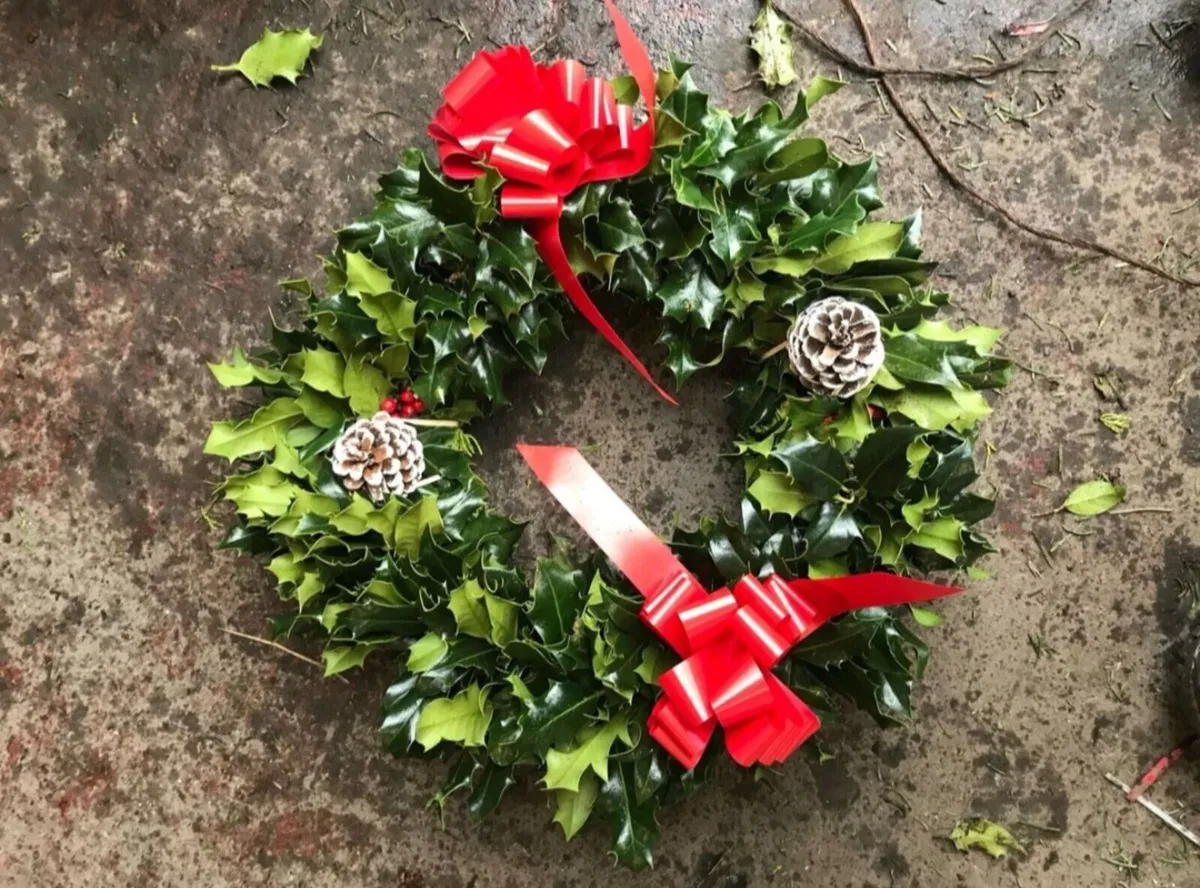 Noble fir Wreaths - Image 4