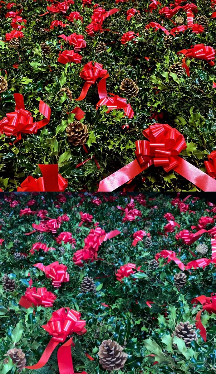 Holly wreaths - Image 4