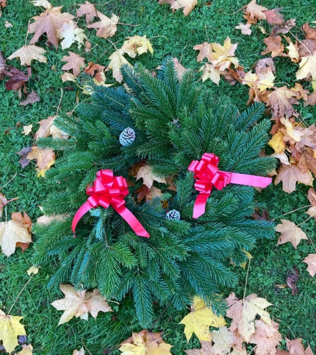 Noble Ifr Wreaths - Image 4