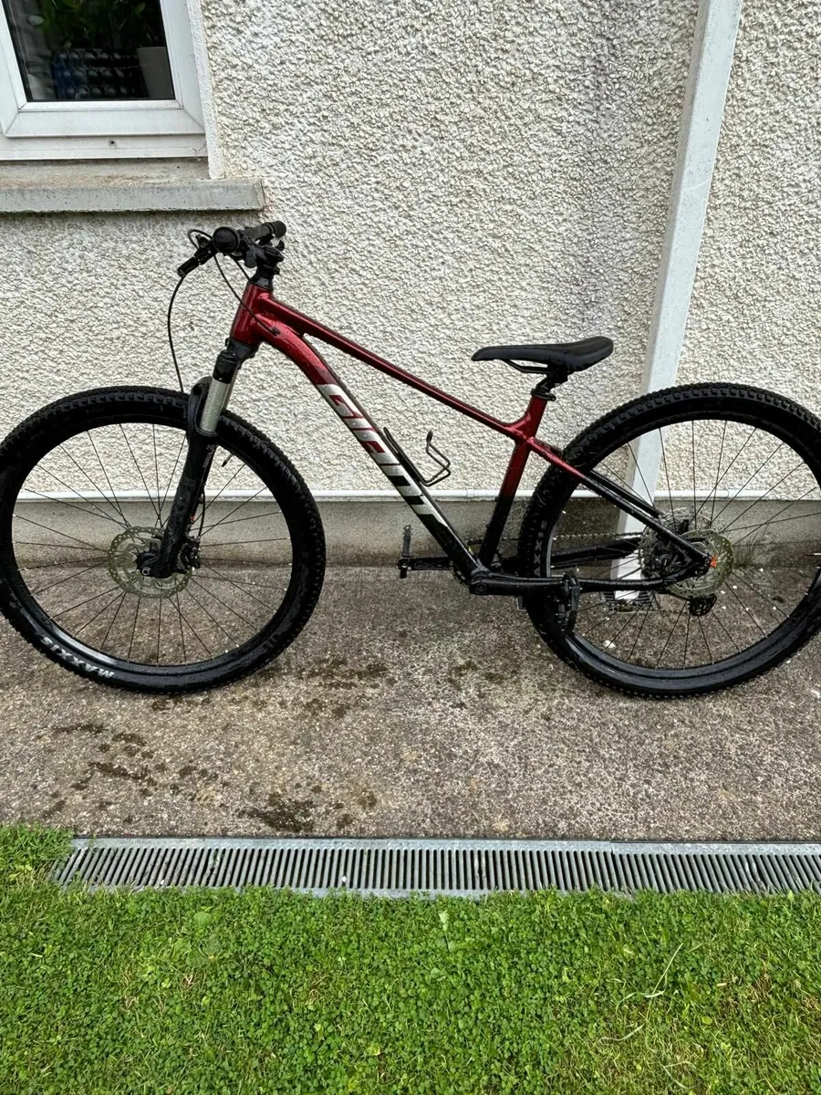 MTB - Mountain Bike - Image 3