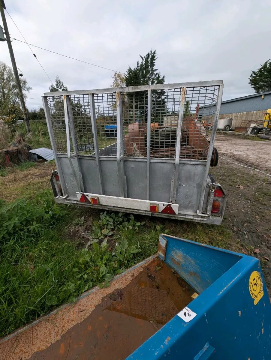 Ifor Williams 10x6 plant trailer - Image 2