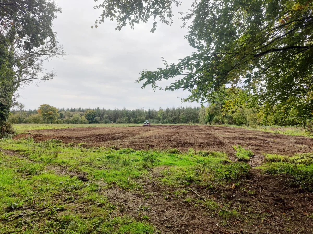 Stumpgrinding services - Image 2