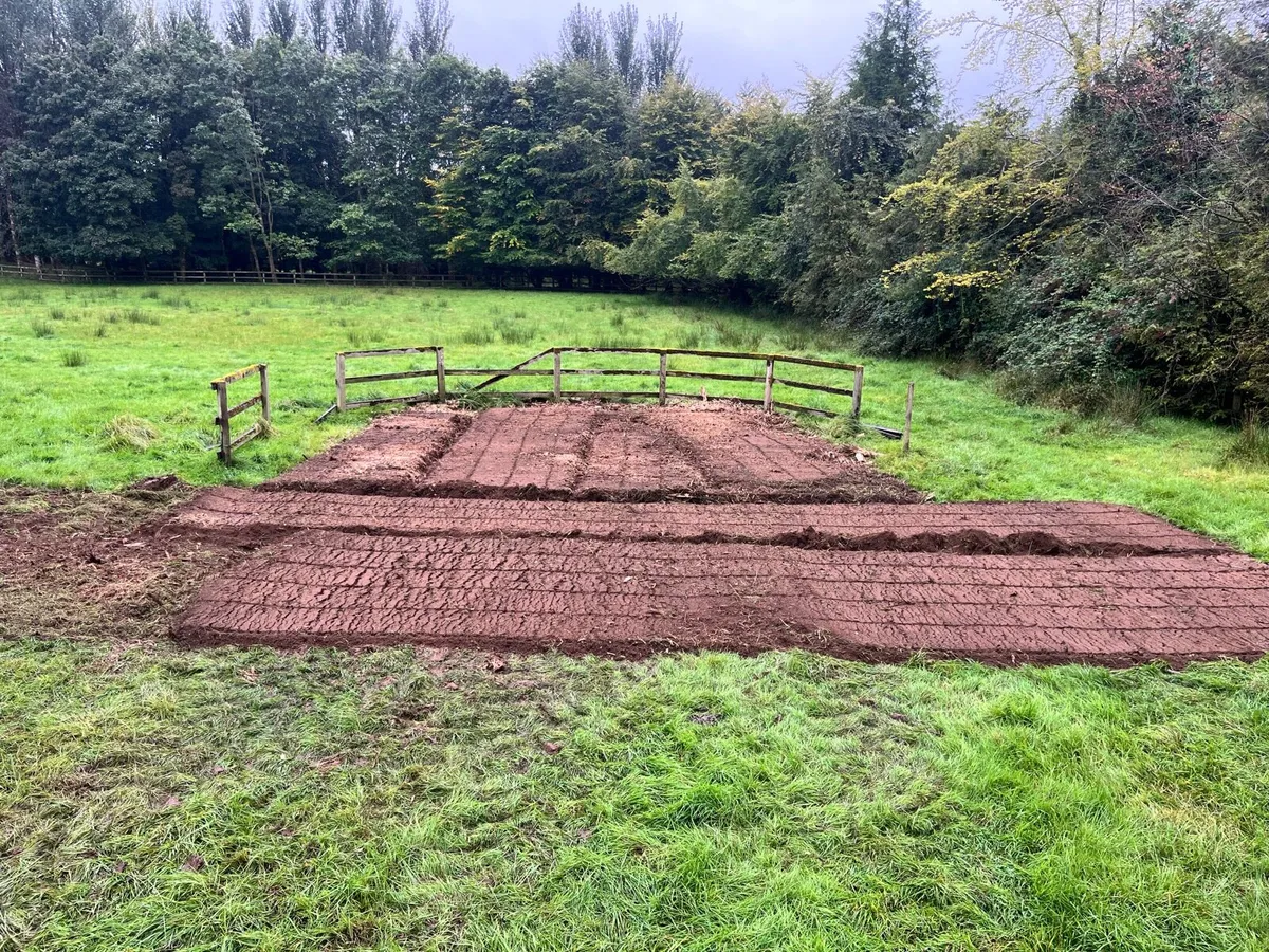 Stumpgrinding services - Image 4