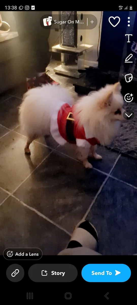 Free to good home - Image 1